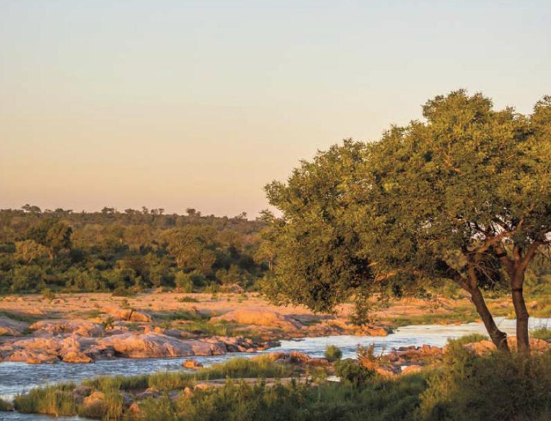 Photo of Others in Buffelspruit