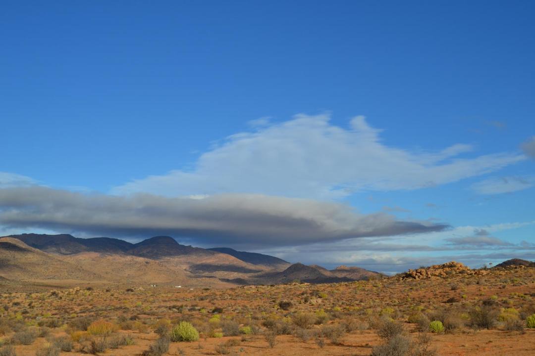 Photo of Others in Springbok