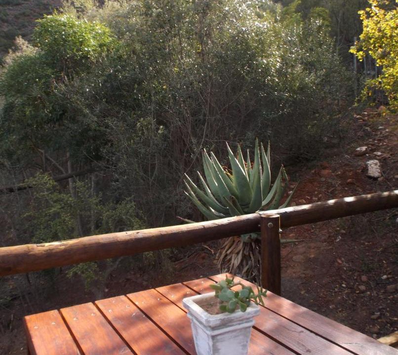 Photo of Others in Schoemanshoek