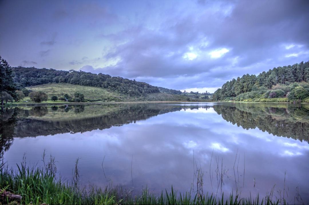 Photo of Others in Magoebaskloof