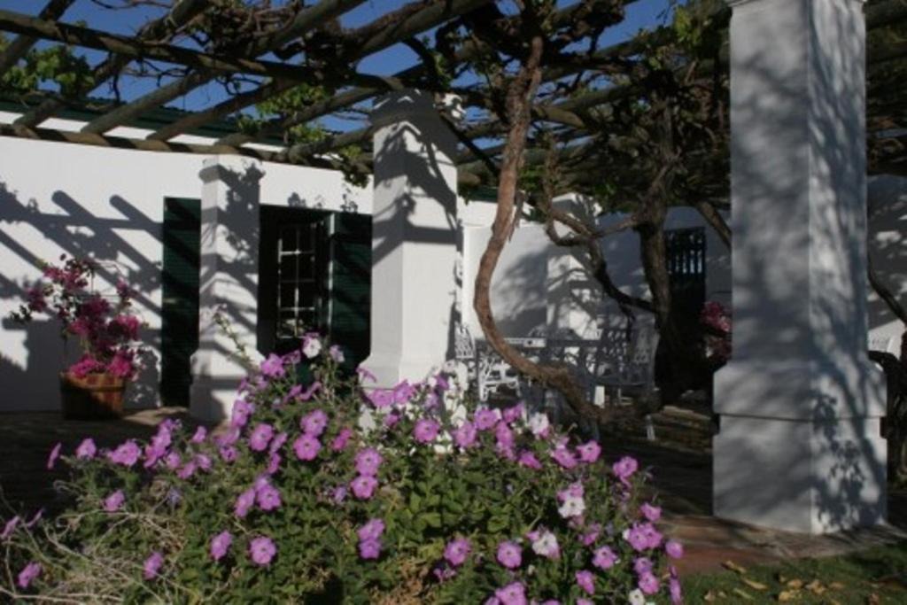 Photo of Others in Graaff-Reinet
