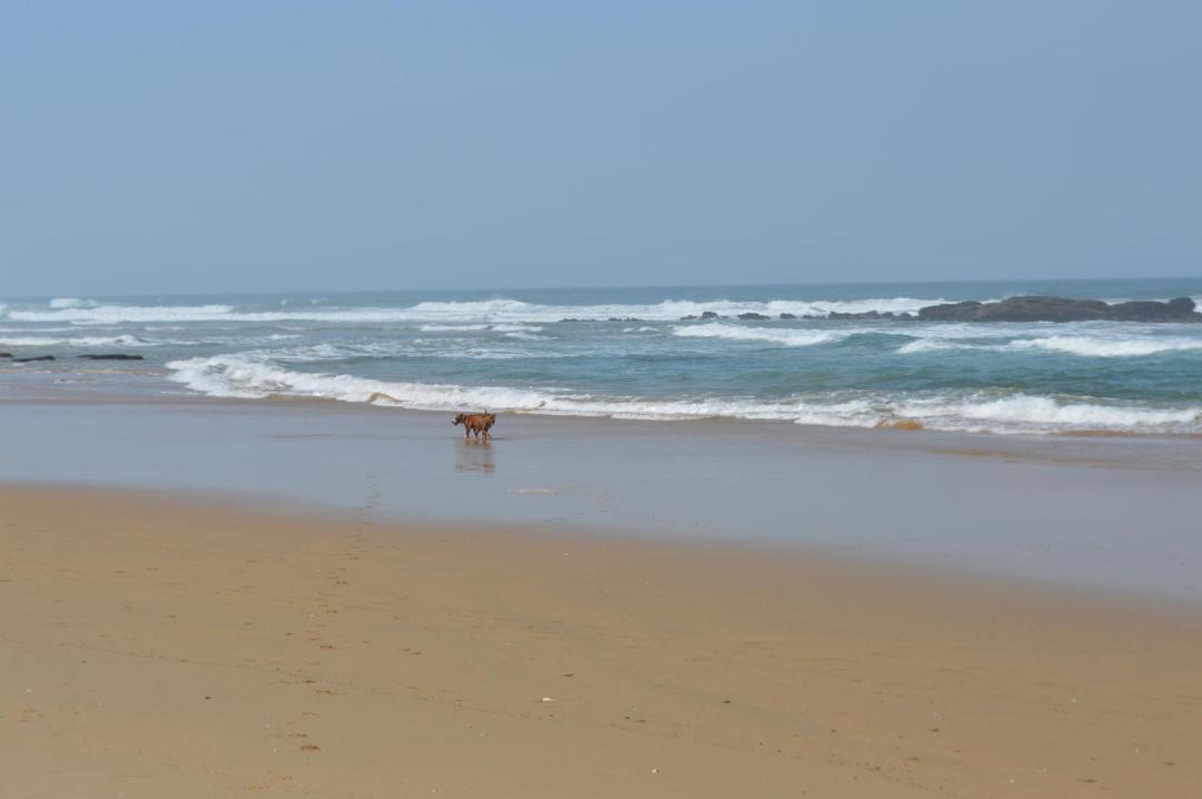 Photo of Others in Sedgefield