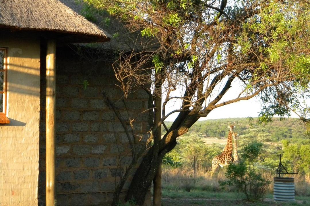 Photo of Others in Tshwane