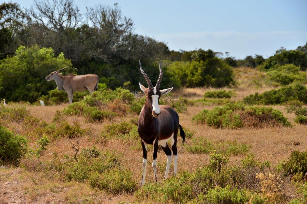 Photo of Others in Overberg