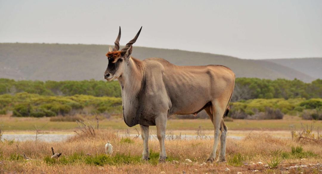 Photo of Others in Overberg