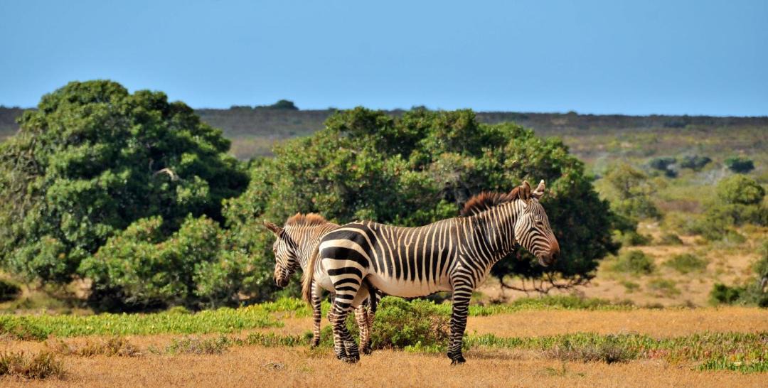 Photo of Others in Overberg