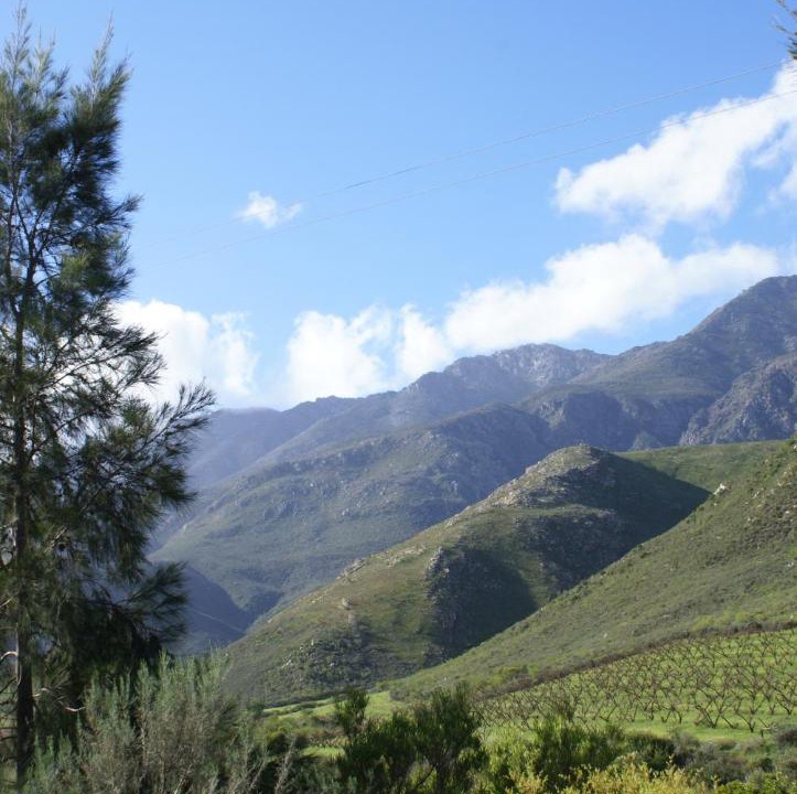 Photo of Others in Robertson
