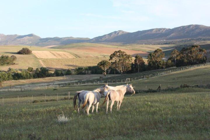 Photo of Others in Caledon