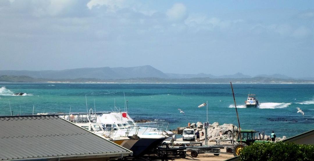 Photo of Others in Van Dyks Bay
