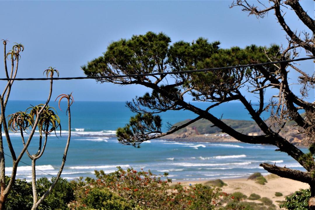 Photo of Others in Beacon Bay