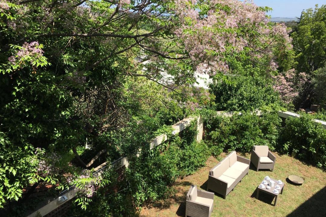 Photo of Others in Stellenbosch