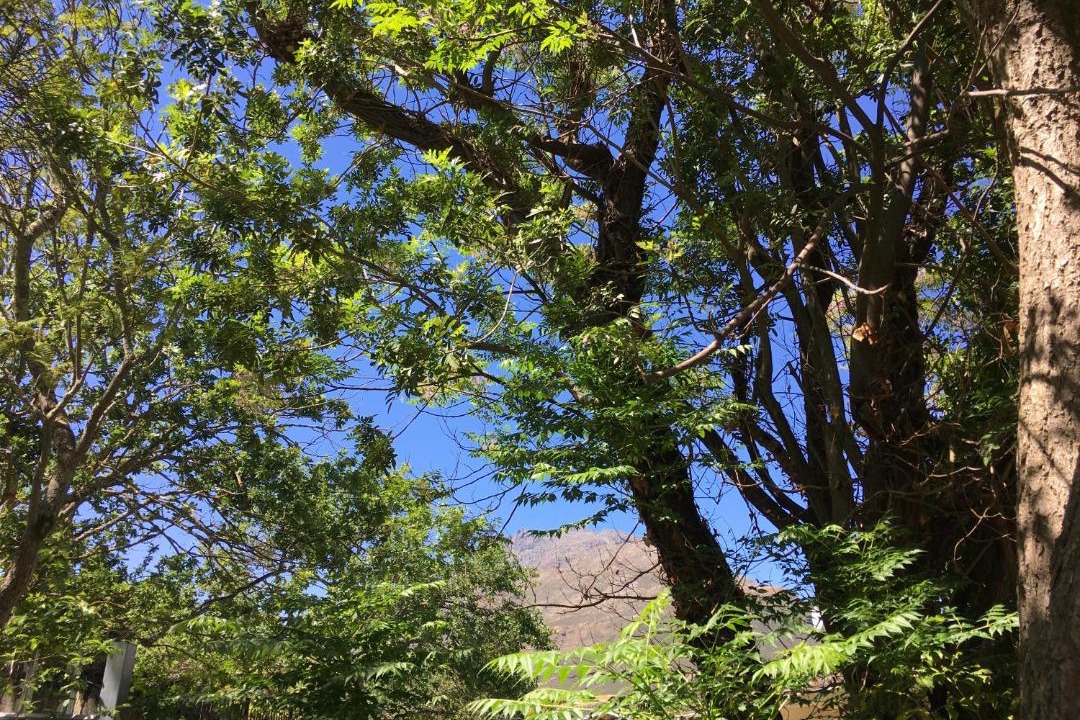 Photo of Others in Stellenbosch