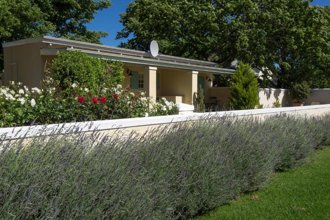 Photo of Others in Franschhoek