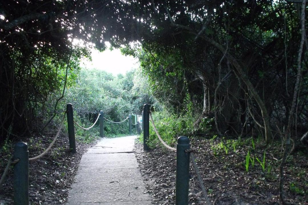 Photo of Others in Nature's Valley