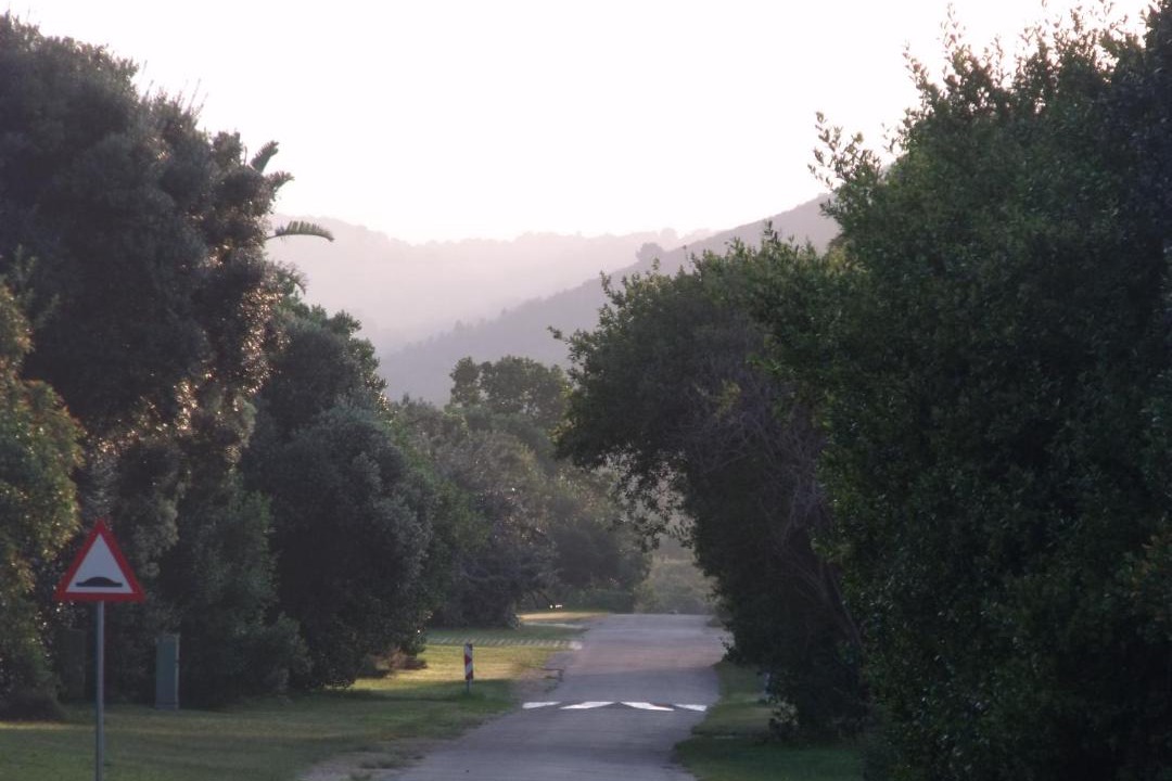 Photo of Others in Nature's Valley