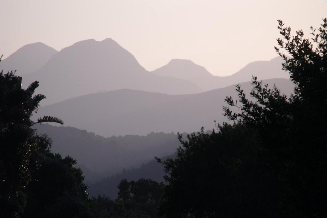 Photo of Others in Nature's Valley