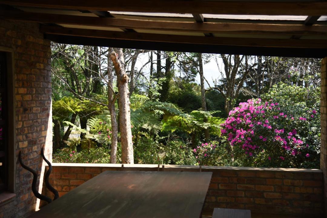 Photo of Others in Graskop