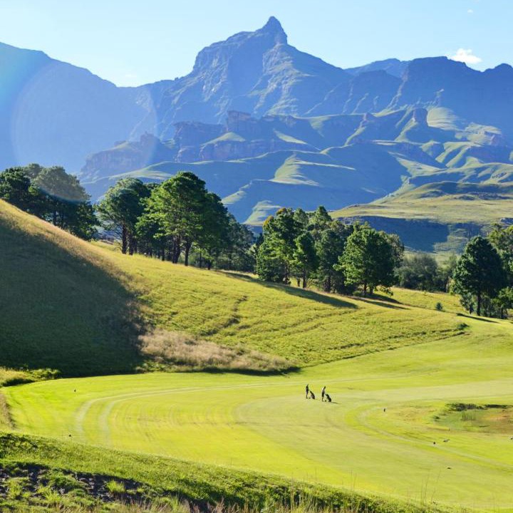 Photo of Others in Drakensberg Gardens