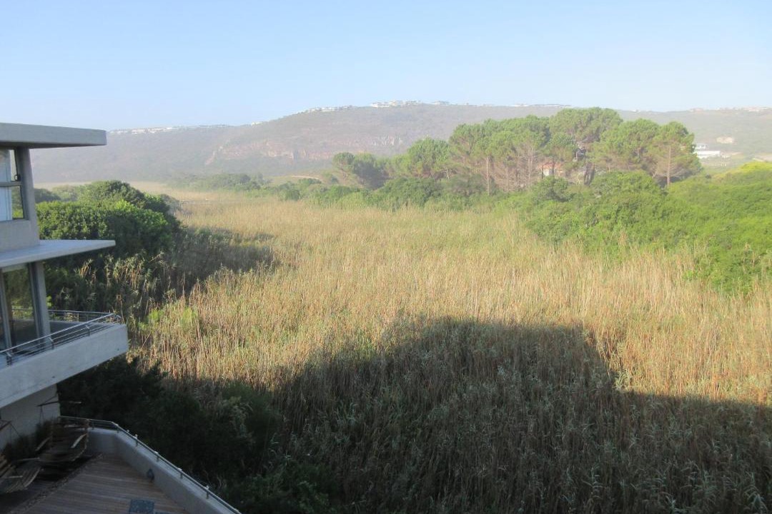 Photo of Others in Robberg Beach