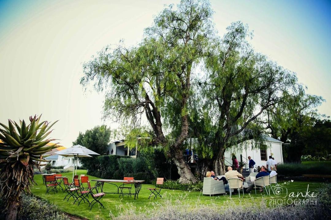 Photo of Others in Oudtshoorn
