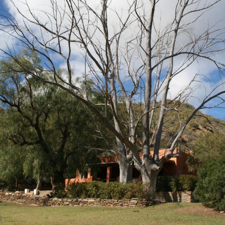 Photo of Others in Calitzdorp