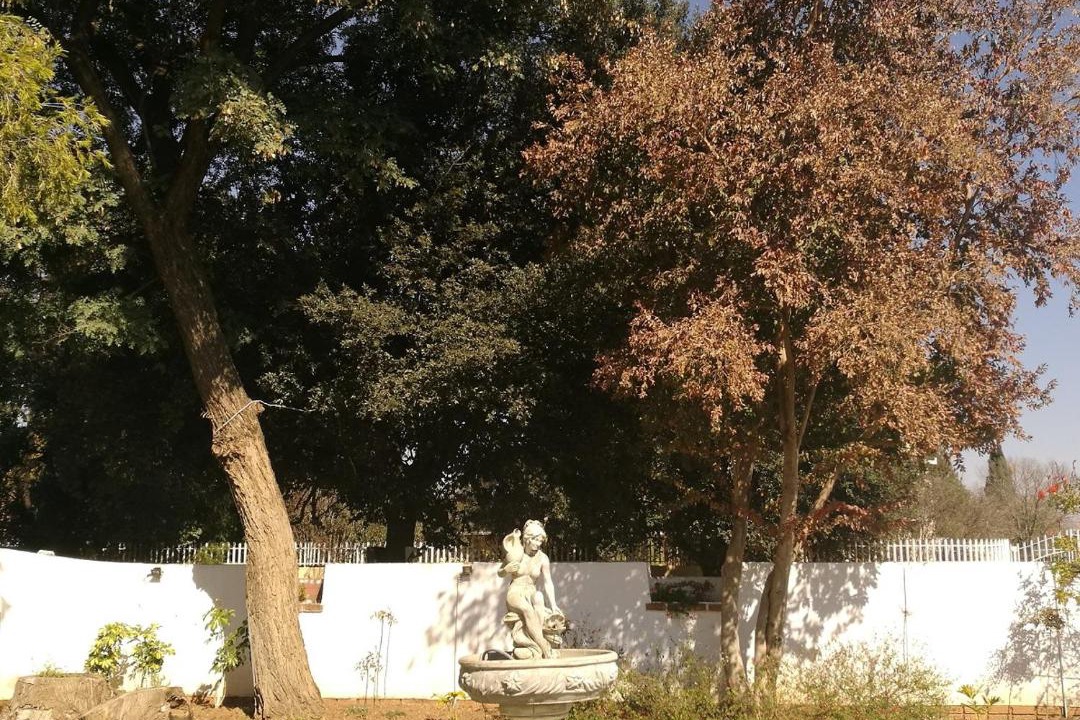 Photo of Others in Welkom