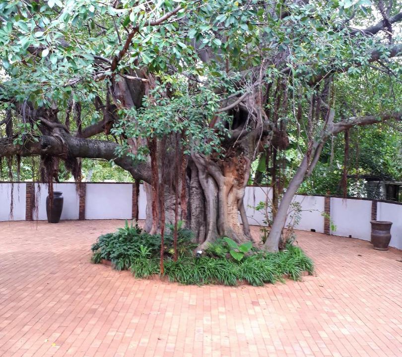 Photo of Others in Modimolle