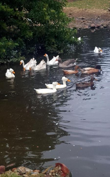 Photo of Others in Port Beaufort