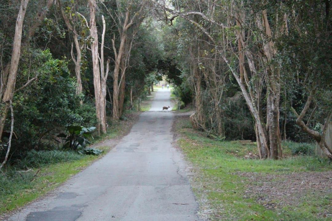 Photo of Others in Nature's Valley