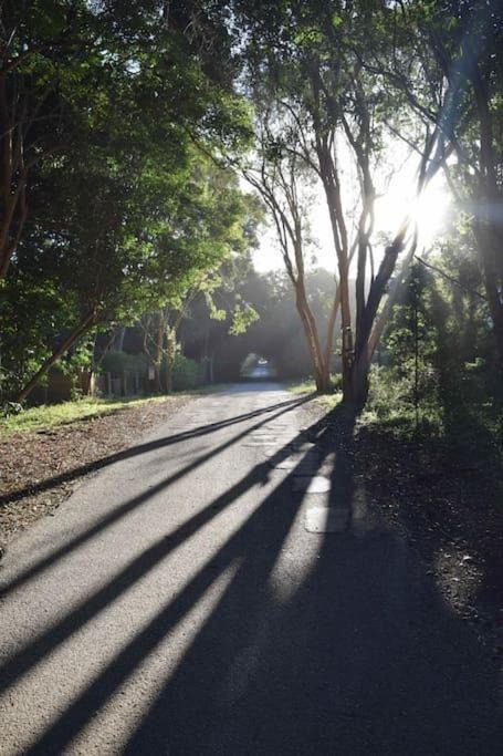 Photo of Others in Nature's Valley
