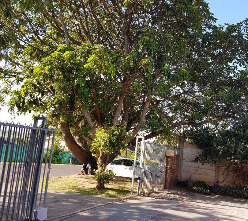 Photo of Others in Blythedale