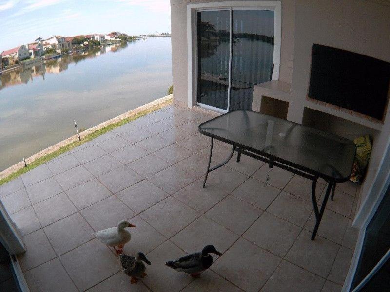 Photo of Others in Port Owen
