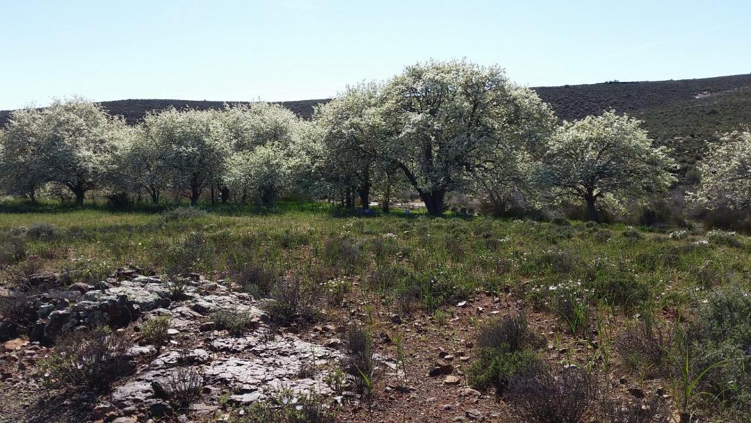 Photo of Outdoor in Karoo Hoogland