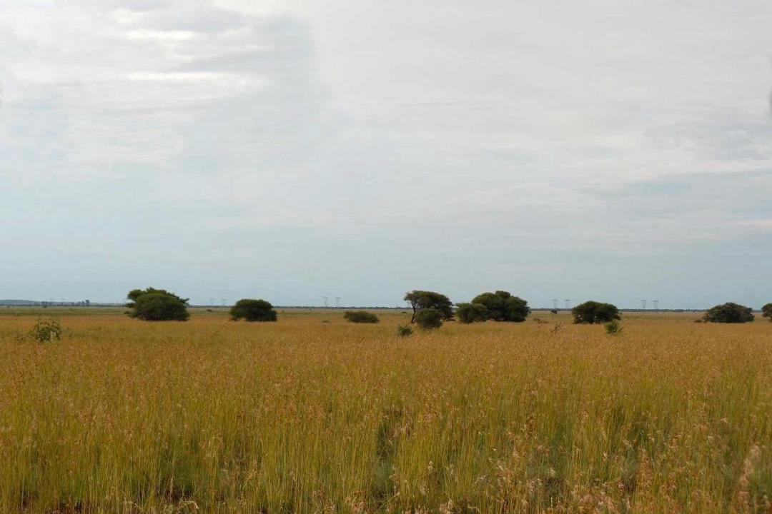 Photo of Others in Kimberley