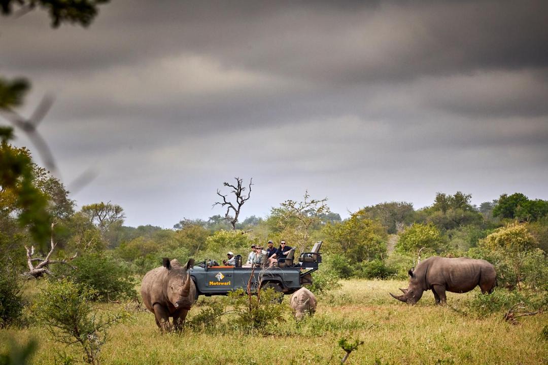 Photo of Others in Kruger National Park