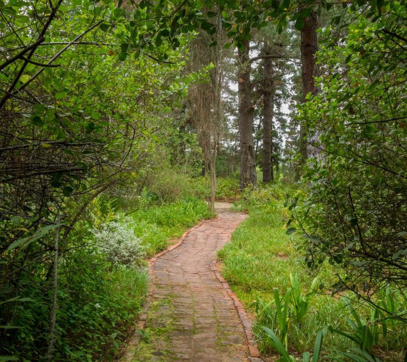 Photo of Others in Wilderness