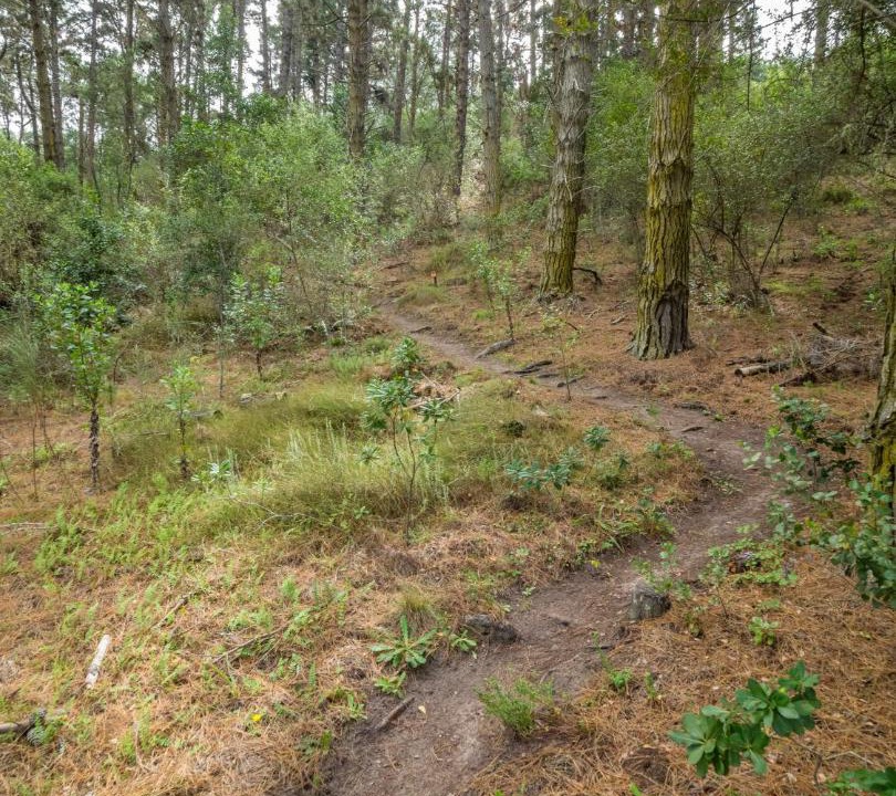 Photo of Others in Wilderness