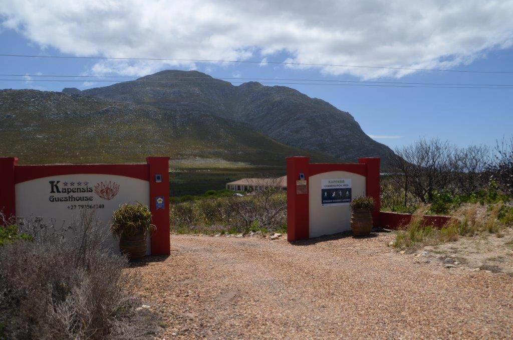 Photo of Others in Pringle Bay