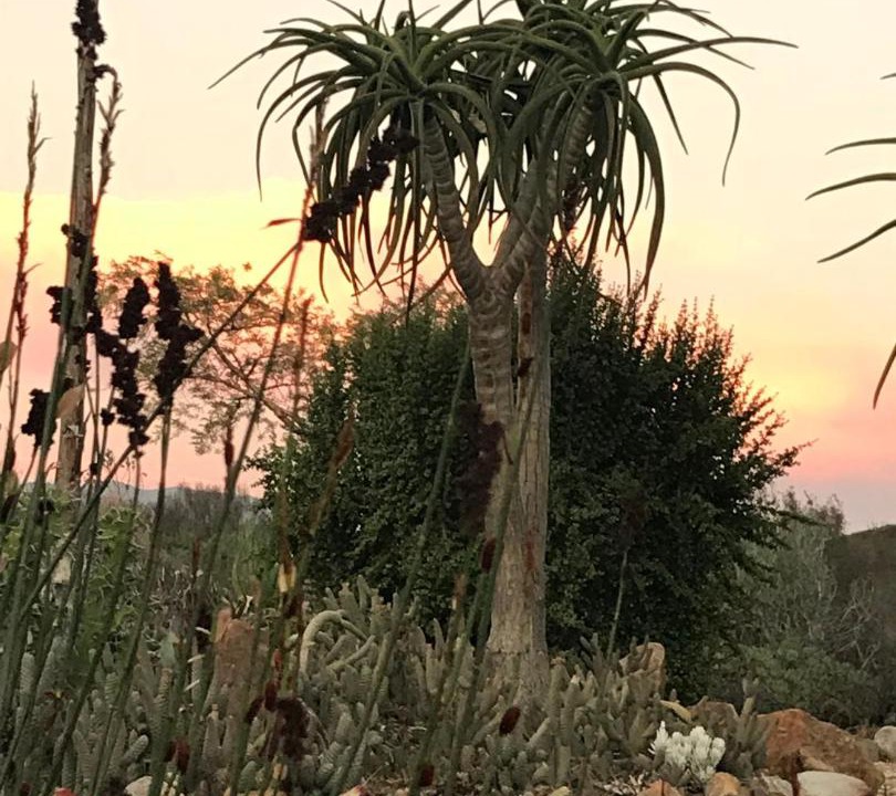 Photo of Others in Robertson