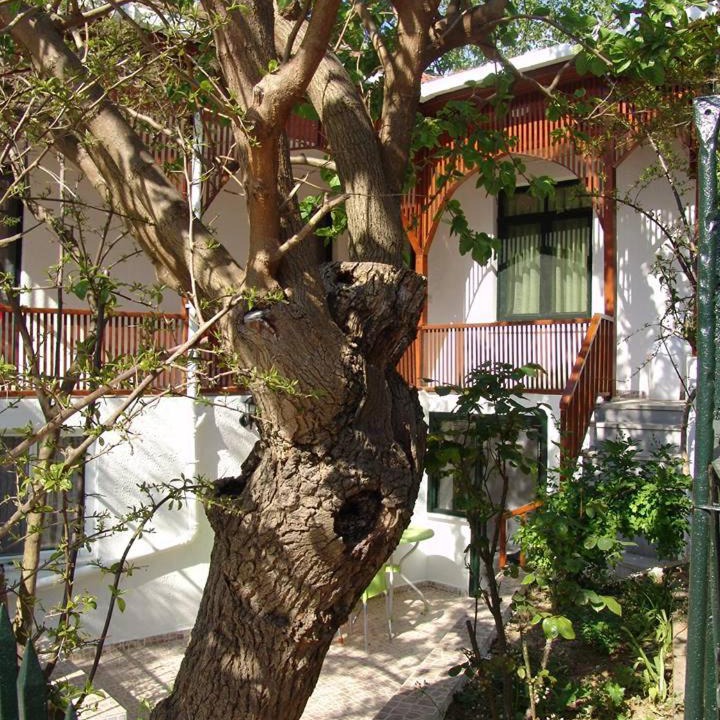 Photo of Others in Adalar