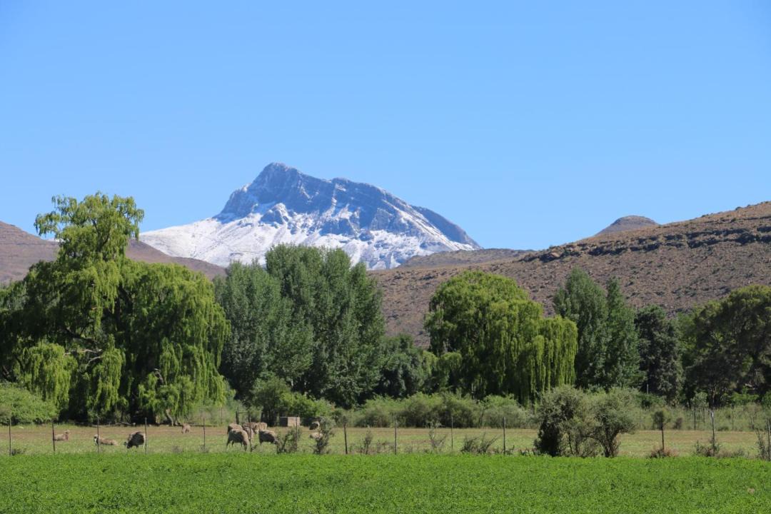 Photo of Others in Nieu-Bethesda