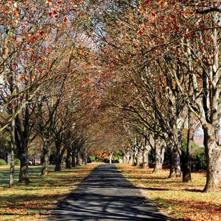 Photo of Others in Himeville