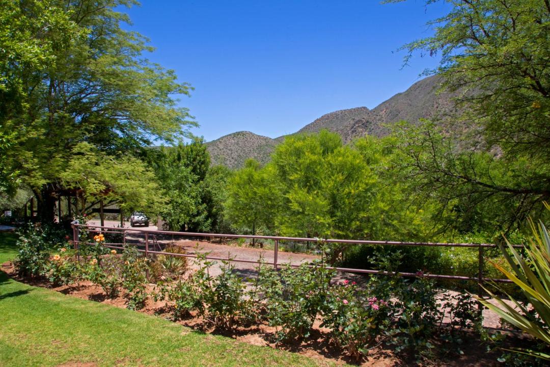Photo of Others in Schoemanshoek