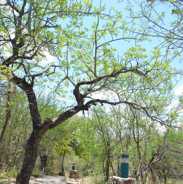 Photo of Others in Hoedspruit