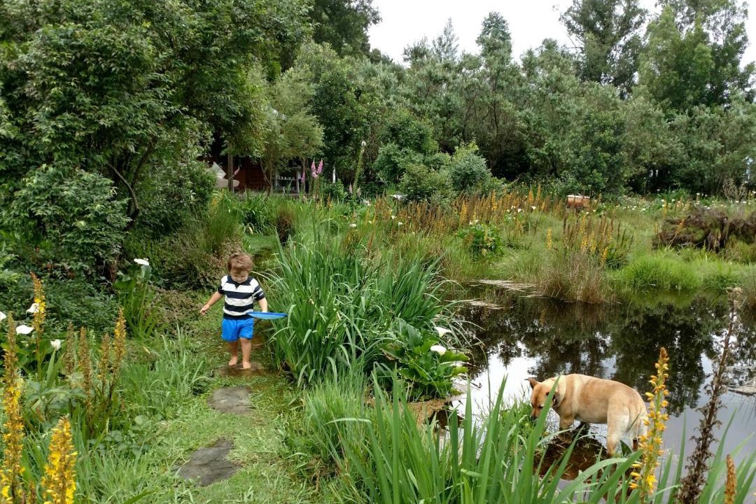 Photo of Others in Storms River