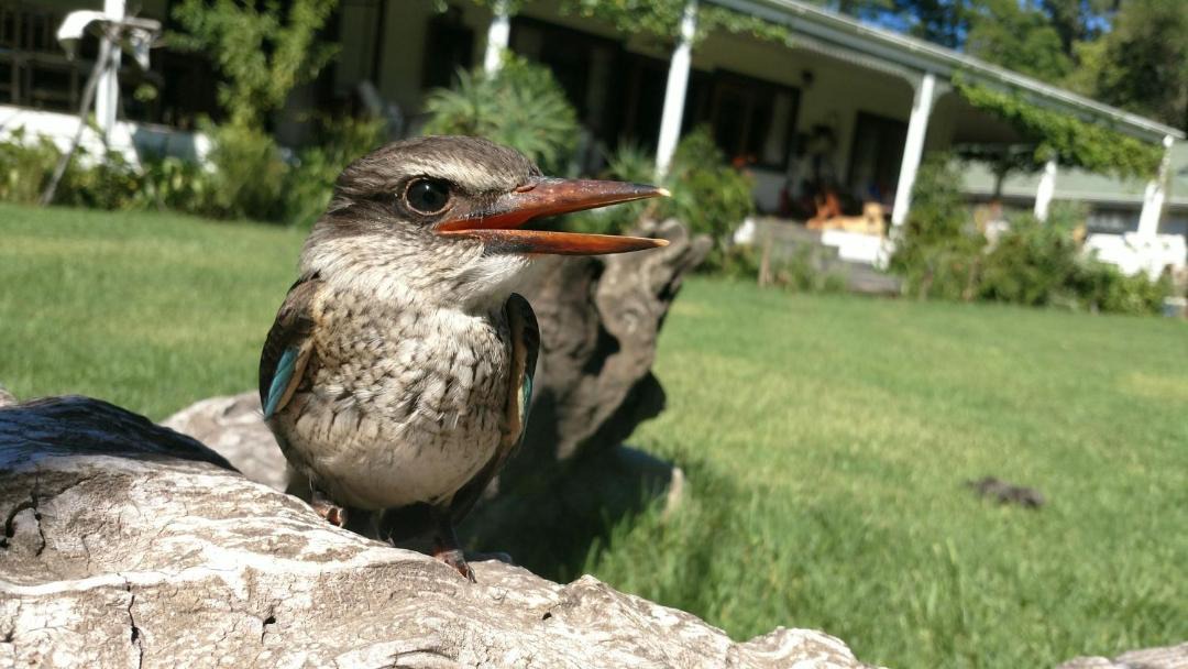 Photo of Others in Storms River