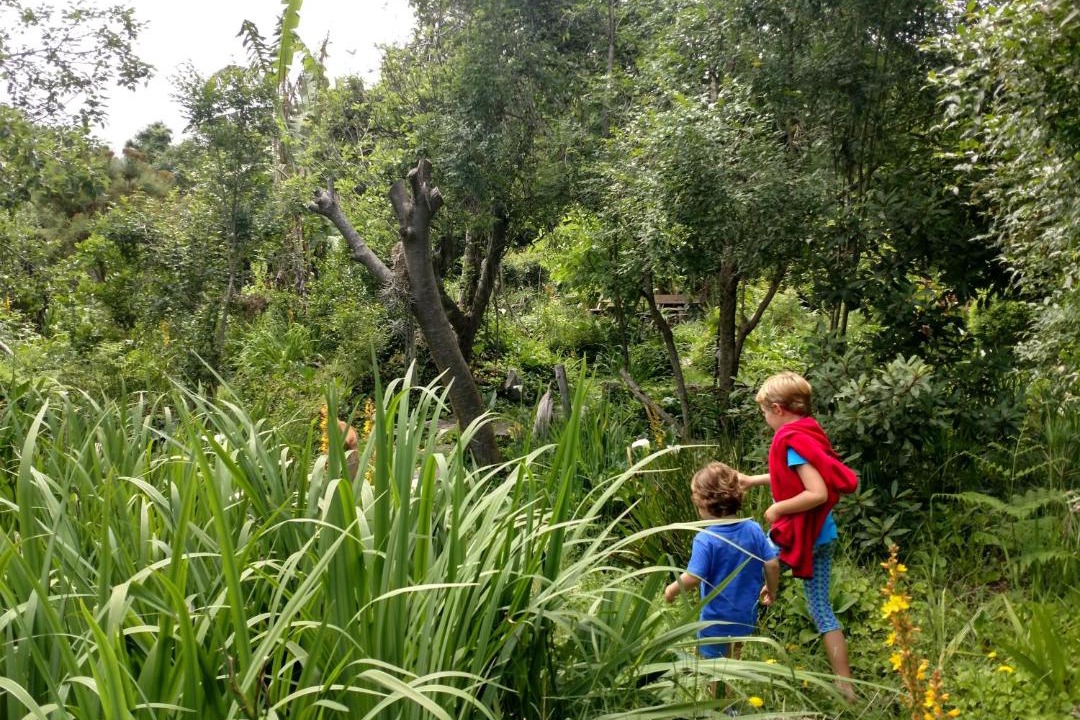Photo of Others in Storms River