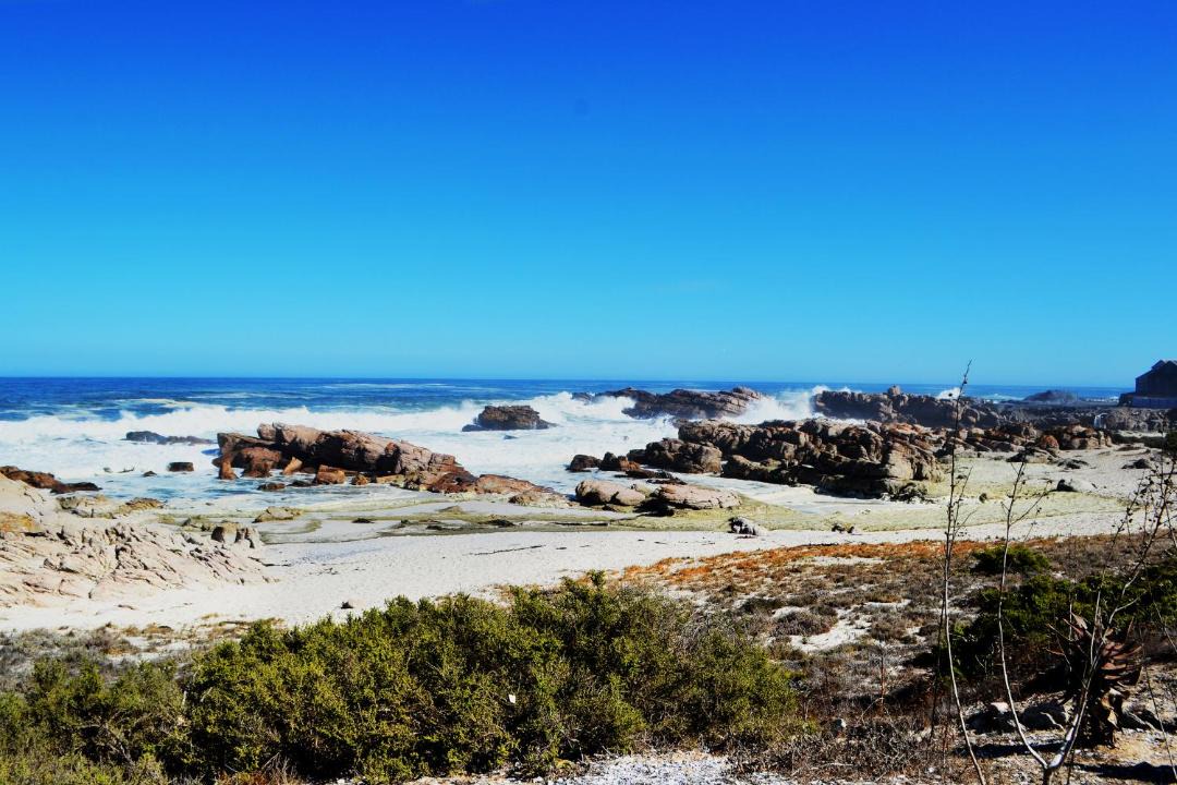 Photo of Others in Lambert's Bay