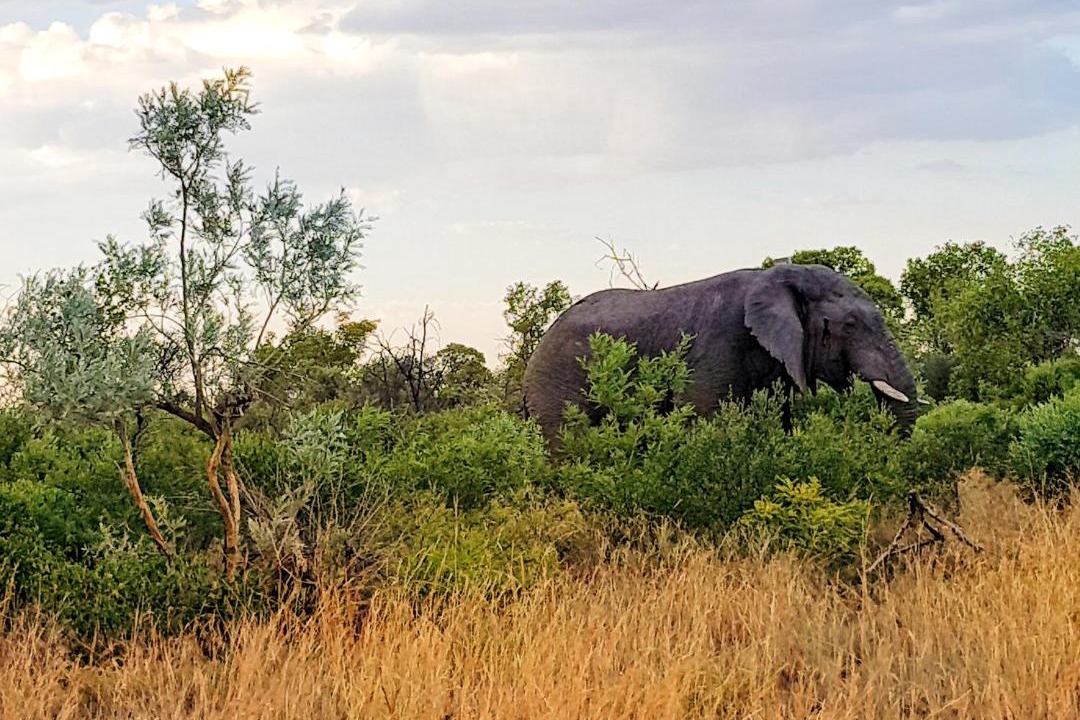 Photo of Others in Hammanskraal