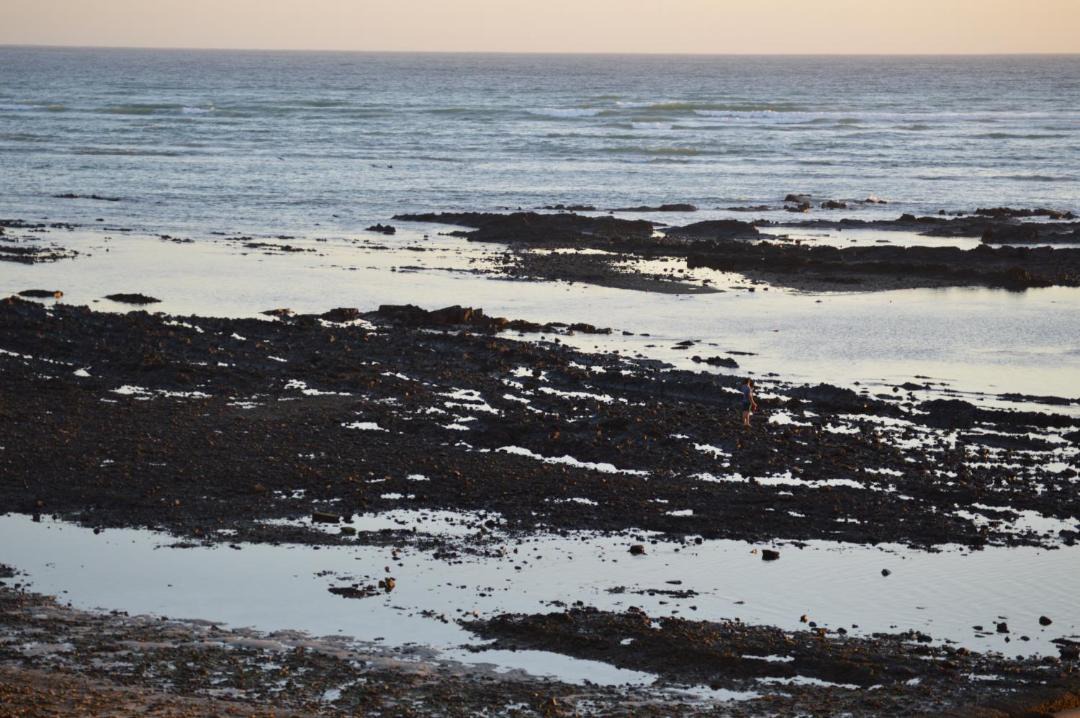 Photo of Others in Strand